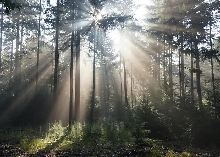 Bed & Breakfast Natuurlijk 3*